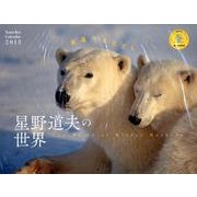 星野道夫の世界永遠のまなざし 2013[カレンダー]（Yama-Kei Calendar） [単行本]