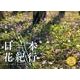 日本花紀行 2013[カレンダー]（Yama-Kei Calendar） [単行本]