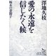 愛の永遠を信じたく候―啄木の妻節子(ノンフィクション・シリーズ"人間"〈10〉) [単行本]