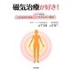 磁気治療が好き!―心にも体にも優しい"免疫力も高まる"エネルギー療法 [単行本]
