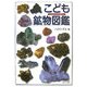 こども鉱物図鑑 [図鑑]