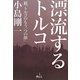 漂流するトルコ―続「トルコのもう一つの顔」 [単行本]