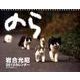 猫カレンダーのら 2012 [カレンダー]