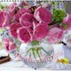 Flower Collection Calendar 201 [カレンダー]