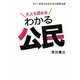 大人も読めるわかる公民―もう一度学ぶ社会生活の基礎知識 [単行本]