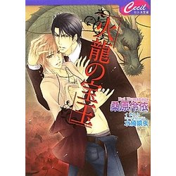 火龍の宝玉(セシル文庫) [文庫]