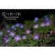 花つれづれCALENDAR 2012 [カレンダー]