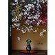 国宝如庵 花―従他世人讃 [単行本]