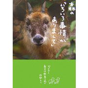 森の「いろいろ事情がありまして」 [単行本]