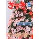 さつき研究 2013年 03月号 [2013年2月5日発売] [雑誌]