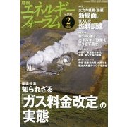エネルギーフォーラム 2013年 02月号 [2013年2月5日発売] [雑誌]