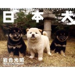 日本犬 2011[カレンダー] [カレンダー]