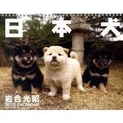 日本犬 2011[カレンダー] [カレンダー]
