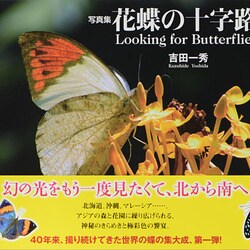 写真集 花蝶の十字路 アジア篇―Looking for Butterflies [単行本]
