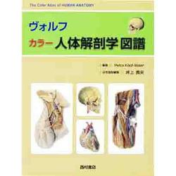 ヴォルフカラー人体解剖学図譜 [単行本]