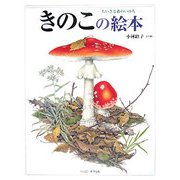 きのこの絵本―ちいさな森のいのち(しぜんのほん) [絵本]