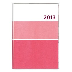 9990 王様のブランチ×ペイジェムB6ウィークリー1(ピン [ムックその他]