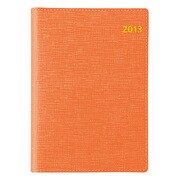 9083 キャレルA6バーチカル1(オレンジ) 4月始まり [ムックその他]