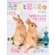 うさぎと暮らす 2013年 04月号 [2013年2月19日発売] [雑誌]