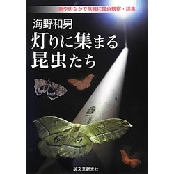 海野和男 灯りに集まる昆虫たち―家や街なかで気軽に昆虫観察・採集 [単行本]