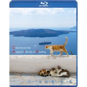エーゲ海・猫が暮らす癒しの島