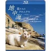 地中海・猫たちのクロニクル