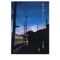 風を見たかい? [単行本]