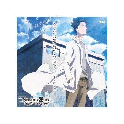 あなたの選んだこの時を 劇場版 Steins Gate 負荷領域のデジャヴ 主題歌