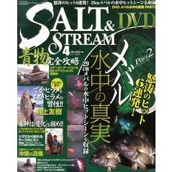 SALT & STREAM (ソルトアンドストリーム) 2013年 04月号 [2013年2月21日発売] [雑誌]