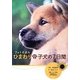 フォトえほん ひまわりと子犬の7日間 [絵本]