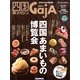 GajA (ガジャ) 2013年 03月号 [2013年3月1日発売] [雑誌]
