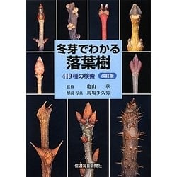 冬芽でわかる落葉樹―419種の検索 改訂版 [単行本]