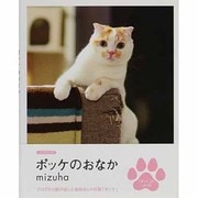 ポッケのおなか [単行本]