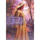 悪魔の花嫁(ハーレクイン文庫) [文庫]