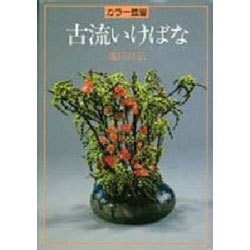 カラー独習古流いけばな [全集叢書]