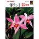 洋ラン〈1〉室内・屋外管理(カラーブックス) [文庫]