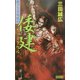 倭建(ヤマトタケル)―新アスカ伝説〈3〉(歴史群像新書) [新書]
