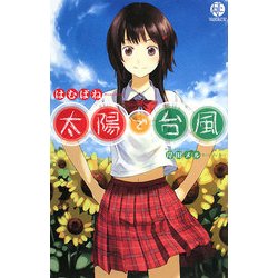 太陽で台風 [新書]