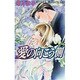 愛の向こう側(ラキアノベルズ) [単行本]
