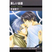 美しい凶器（i novels） [新書]