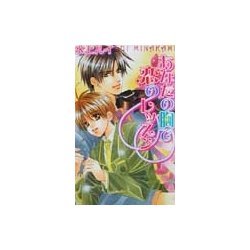 あなたの胸で恋のレッスン(ラキアノベルズ) [単行本]