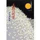 美貌の刺客―仙台維新譜 [単行本]