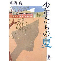 少年たちの夏(新風舎文庫) [文庫]