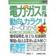 図解入門業界研究 最新電力・ガス業界の動向とカラクリがよーくわかる本(How-nual Industry Trend Guide Book) [単行本]
