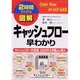 図解キャッシュフロー早わかり―キャッシュフロー計算書、2000年3月期より導入(2時間でわかる図解シリーズ) [単行本]
