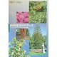 新樹種ガイドブック―新しい造園樹木 [単行本]
