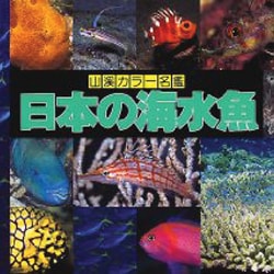 ヨドバシ.com - 日本の海水魚(山渓カラー名鑑) [図鑑] 通販