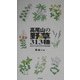 高尾山の野草313種―歩きながら出会える花の手描き図鑑 [図鑑]