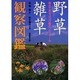 野草・雑草観察図鑑―身近で見る430種のプロフィール [単行本]