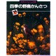 四季の野鳥かんさつ(科学のアルバム〈別巻〉) [全集叢書]